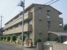 サンジュネスの外観