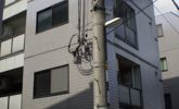 内本町ハイツの間取り画像
