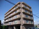 ジャスパー江南の間取り画像