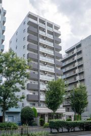 THEパームス東武練馬の外観画像