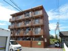 コート扇町IIの間取り画像