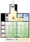 マンション池袋の間取り画像
