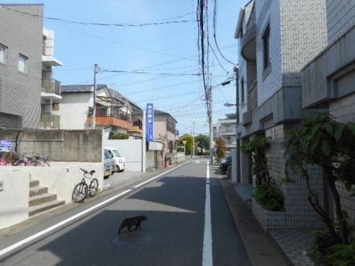 近くに施設あり