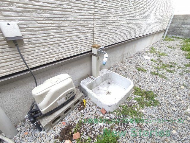 庭