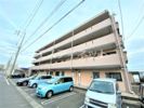 カームリー新海の間取り画像