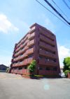 ドーチェスターの間取り画像