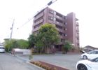 ドーチェスターの間取り画像