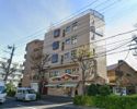 野田ビルの間取り画像