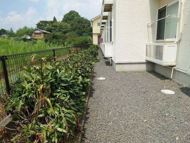 庭