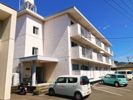 向田町 リフォーム済の間取り画像
