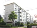 山田池住宅第12棟の間取り画像