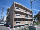 カリーノ パラッツォの間取り画像