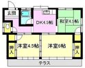 佐藤正秀貸家（中居4丁目）（管理）の間取り画像