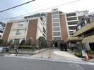 三田第二コーポラスの間取り画像