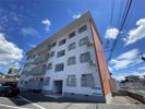 松井マンションの間取り画像