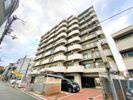 PALMIZIO鶴橋の間取り画像