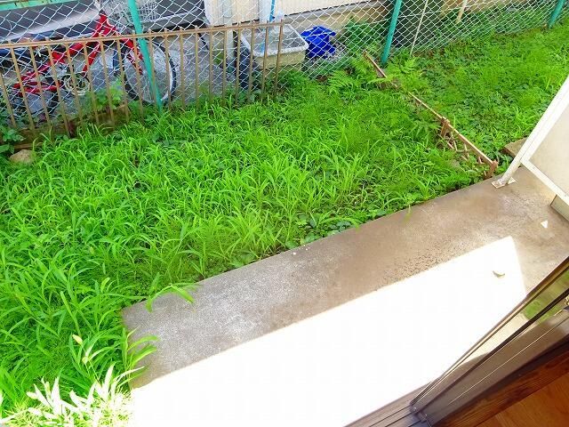 庭