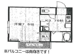セジュール伴安の間取り画像