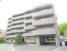 レスカーラ緑地公園の間取り画像