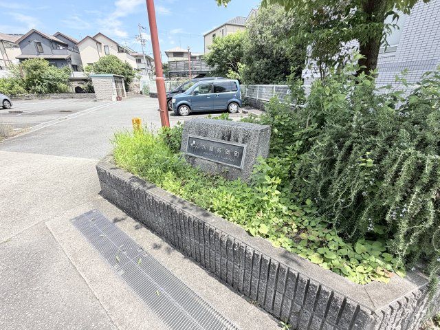 庭