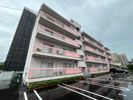 岩倉ビルの間取り画像