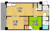 ラシーヌ新池の間取り画像