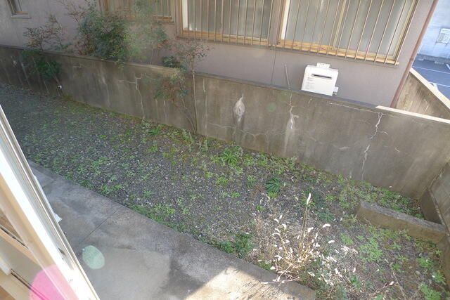 庭