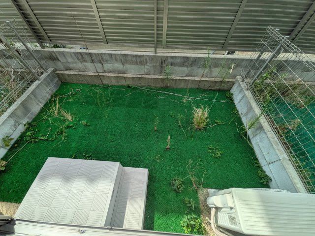 庭