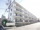 マモール北久里浜 A棟の間取り画像
