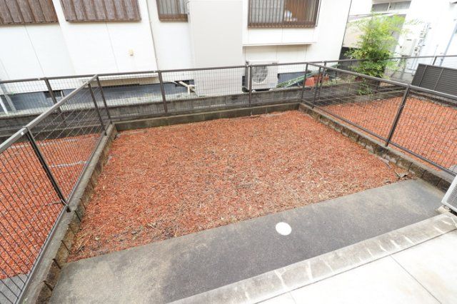 庭