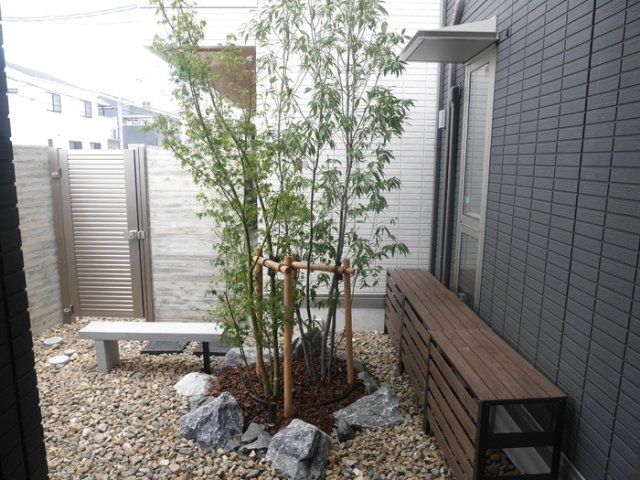 庭