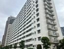 シティコープ豊洲の間取り画像