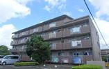 サンハイツ白山の間取り画像