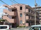 パル81の外観