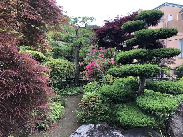庭