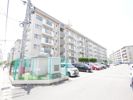 エメラルドタウン本城F棟 501号室の間取り画像