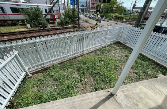 庭