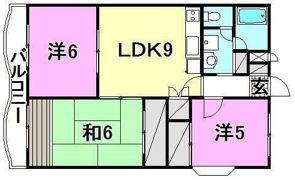 シャルマン市坪の間取り画像
