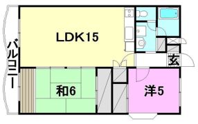 シャルマン市坪の間取り画像