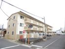 Penny Laneの間取り画像