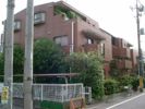 ヴィラベール洗足池の間取り画像