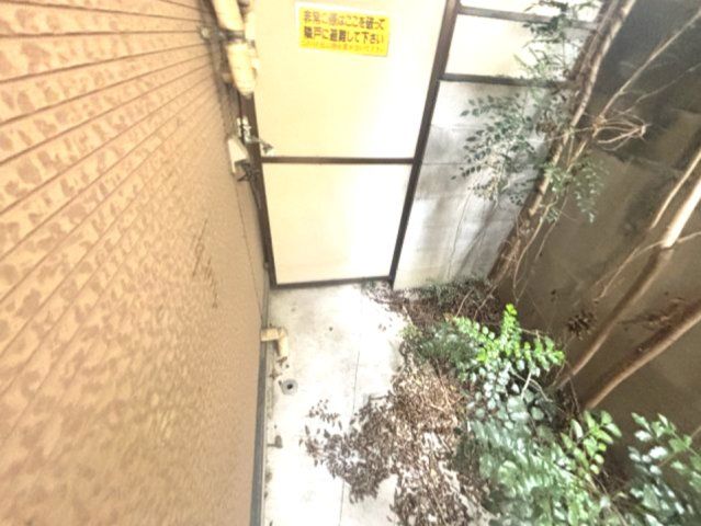 庭
