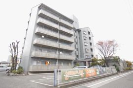 ナチュラルリーフ松山の外観画像