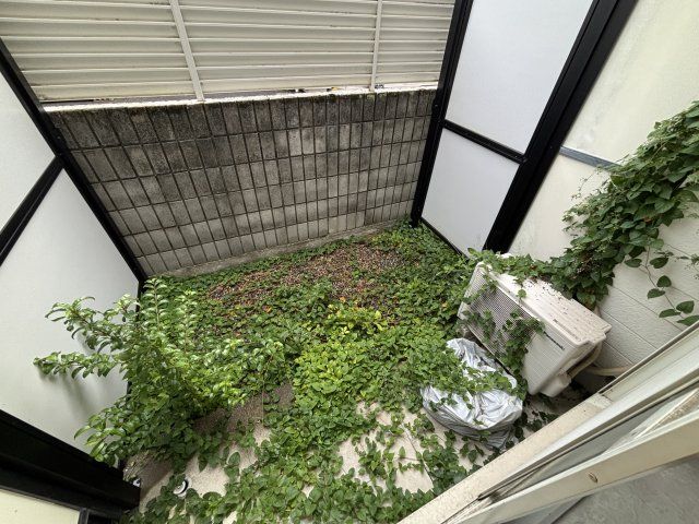 庭