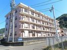 キャッスルMRの間取り画像