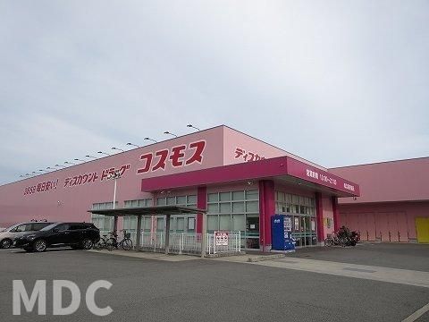 コスモスさんまで1000m