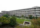 アーバンパーク常盤台公園Dの間取り画像