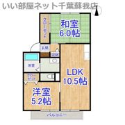 グレイスパティオⅡの間取り画像