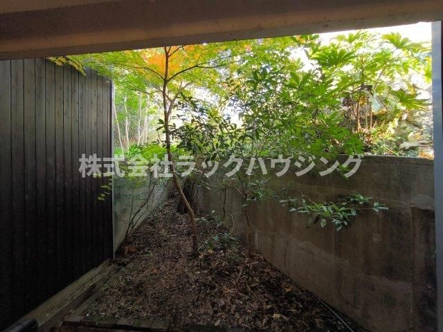 庭