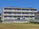 アドバンス楽市の間取り画像